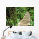 Boardwalk Big Tree Trail In Temperate Rainforest Wall Mural
