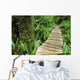Boardwalk Big Tree Trail In Temperate Rainforest Wall Mural