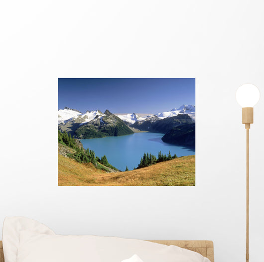 Garibaldi Lake, Garibaldi Provincial Park, British Columbia, Canada Wall Mural