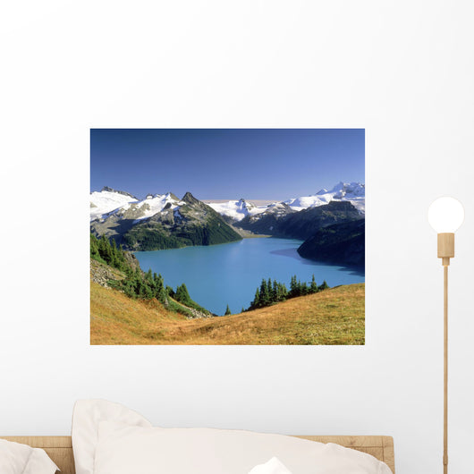 Garibaldi Lake, Garibaldi Provincial Park, British Columbia, Canada Wall Mural