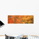 Aspens In Fall With Wind Wall Mural