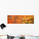 Aspens In Fall With Wind Wall Mural