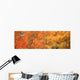 Aspens In Fall With Wind Wall Mural