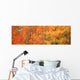Aspens In Fall With Wind Wall Mural