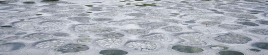 Spotted Lake, Southern Okanagan Valley, British Columbia, Canada Wall Mural