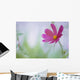 Flower In Garden, Alberta, Canada Wall Mural