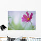 Flower In Garden, Alberta, Canada Wall Mural