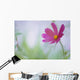 Flower In Garden, Alberta, Canada Wall Mural