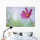 Flower In Garden, Alberta, Canada Wall Mural