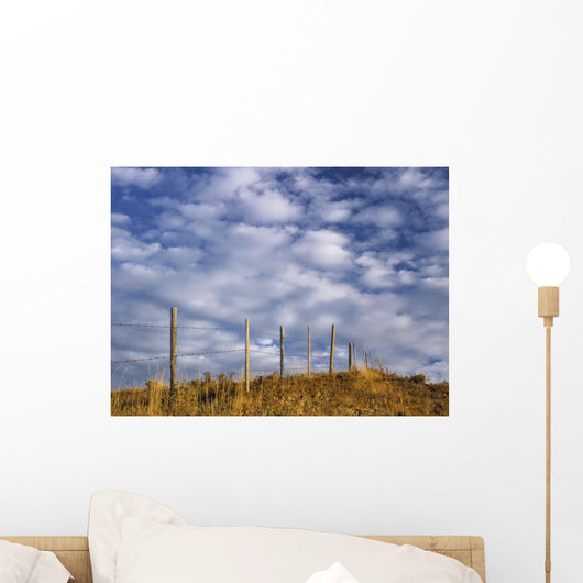 Fenceline In Pasture With Cumulus Clouds In Sky Near Cochrane Wall Mural