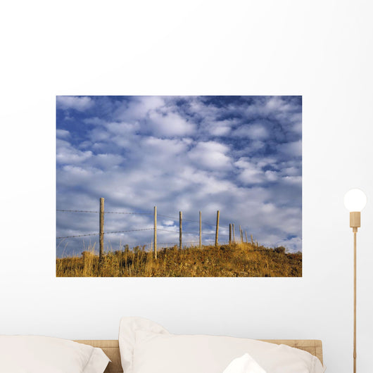 Fenceline In Pasture With Cumulus Clouds In Sky Near Cochrane Wall Mural