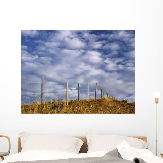 Fenceline In Pasture With Cumulus Clouds In Sky Near Cochrane Wall Mural