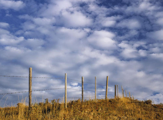 Fenceline In Pasture With Cumulus Clouds In Sky Near Cochrane Wall Mural