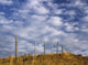 Fenceline In Pasture With Cumulus Clouds In Sky Near Cochrane Wall Mural