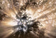 Fog And Light Beams In Aspen Forest Near Water Valley, Alberta, Canada Wall Mural