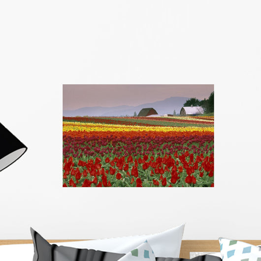 Tulip Fields In Skagit Valley, Washington State, Usa Wall Mural