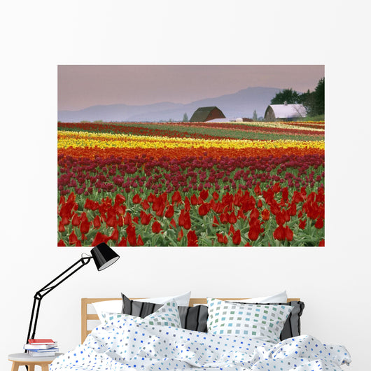 Tulip Fields In Skagit Valley, Washington State, Usa Wall Mural