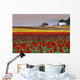 Tulip Fields In Skagit Valley, Washington State, Usa Wall Mural