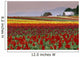 Tulip Fields In Skagit Valley, Washington State, Usa Wall Mural