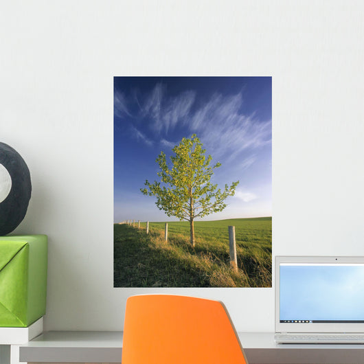 Lone Tree And Fenceline, Near Dogpound, Alberta Wall Mural