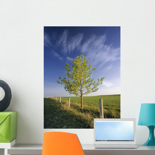 Lone Tree And Fenceline, Near Dogpound, Alberta Wall Mural