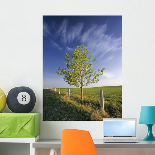 Lone Tree And Fenceline, Near Dogpound, Alberta Wall Mural