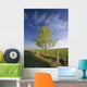 Lone Tree And Fenceline, Near Dogpound, Alberta Wall Mural