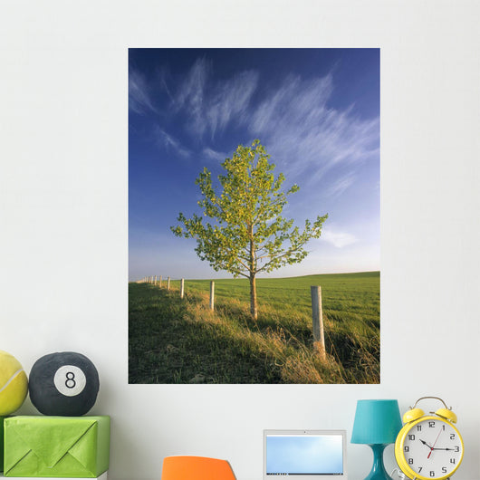 Lone Tree And Fenceline, Near Dogpound, Alberta Wall Mural