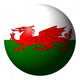 Welsh Flag Sphere White Wall Decal