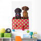 Two Dachshund Puppies Inside A Polka Dot Christmas Gift Box Wall Mural