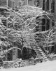 Drolet Street In Winter, Montreal, Quebec, B/W Wall Mural
