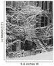 Drolet Street In Winter, Montreal, Quebec, B/W Wall Mural