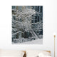 Drolet Street In Winter, Montreal, Quebec Wall Mural