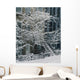 Drolet Street In Winter, Montreal, Quebec Wall Mural