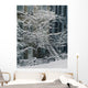 Drolet Street In Winter, Montreal, Quebec Wall Mural