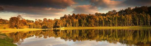 Trees Lining The Water's Edge Reflected In The Water In Autumn Wall Mural