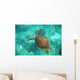 A Sea Turtle Swims Underwater Wall Mural