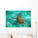 A Sea Turtle Swims Underwater Wall Mural