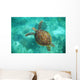 A Sea Turtle Swims Underwater Wall Mural