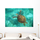 A Sea Turtle Swims Underwater Wall Mural