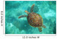 A Sea Turtle Swims Underwater Wall Mural