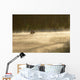 Family Canoeing On Trout Pond, Gaspesie Wildlife Reserve, Quebec Wall Mural