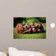 2 Orangutans Play Wall Decal