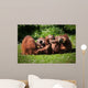 2 Orangutans Play Wall Decal