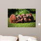 2 Orangutans Play Wall Decal