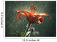 Lilly in the Rain Wall Mural