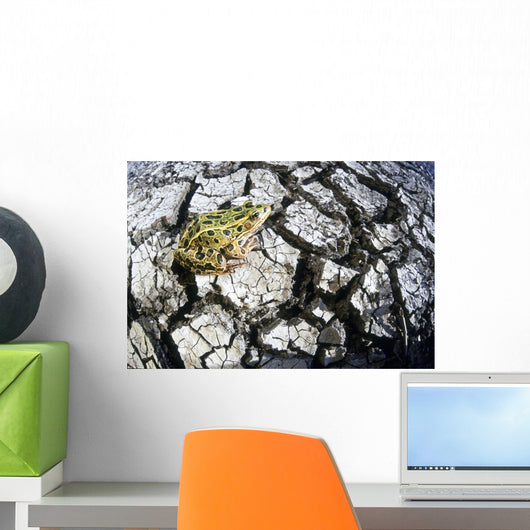 Leopard Frog On Dry Farmland, Red River Valley, Manitoba Wall Mural
