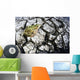 Leopard Frog On Dry Farmland, Red River Valley, Manitoba Wall Mural