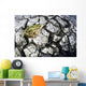 Leopard Frog On Dry Farmland, Red River Valley, Manitoba Wall Mural