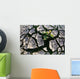 Farmland Affected By Drought, Red River Valley, Manitoba Wall Mural